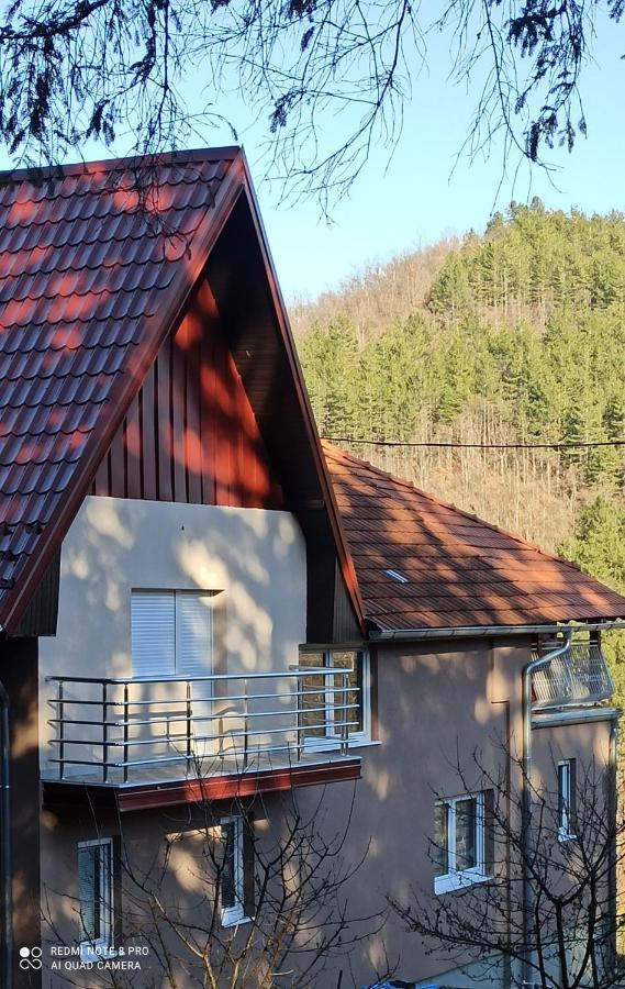 Guest House Vila Aleksa Bogutovac Exterior photo