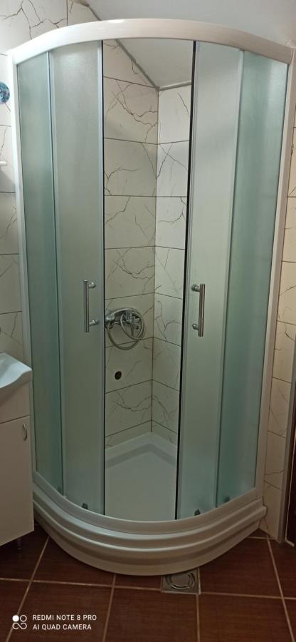 Guest House Vila Aleksa Bogutovac Exterior photo