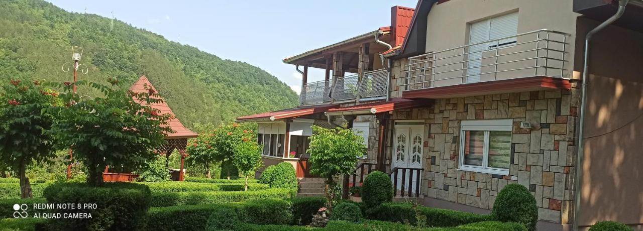 Guest House Vila Aleksa Bogutovac Exterior photo