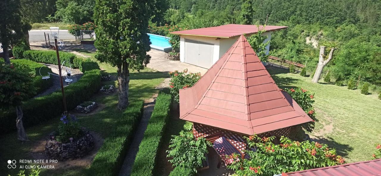 Guest House Vila Aleksa Bogutovac Exterior photo