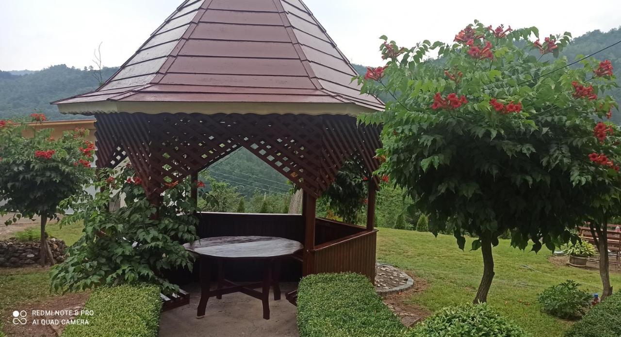Guest House Vila Aleksa Bogutovac Exterior photo