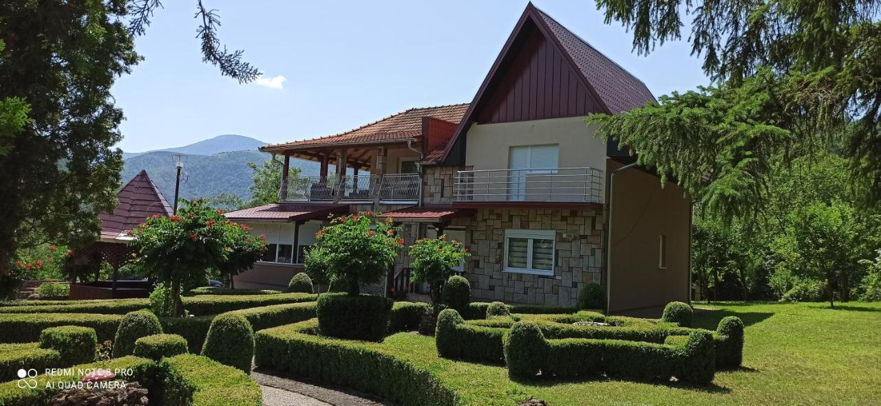 Guest House Vila Aleksa Bogutovac Exterior photo